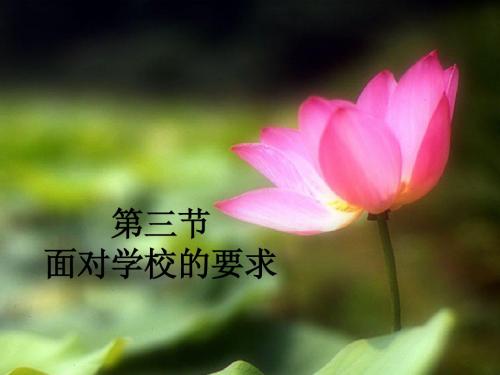 面对学校的要求