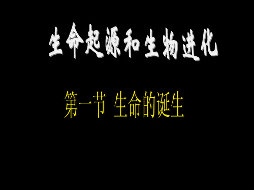 苏教版八16.1上生命的诞生课件(19张ppt)