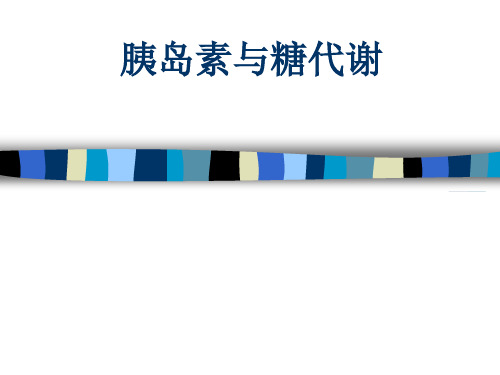 胰岛素与糖代谢PPT