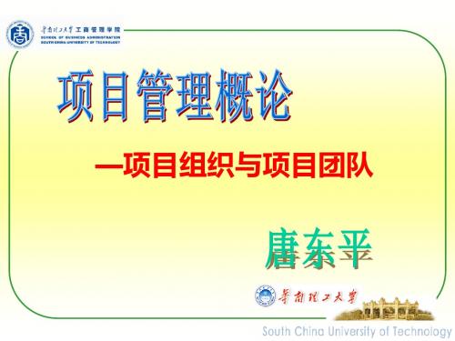 项目组织和项目团队