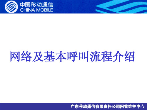 GSM(智能)网络及基本(智能)呼叫流程