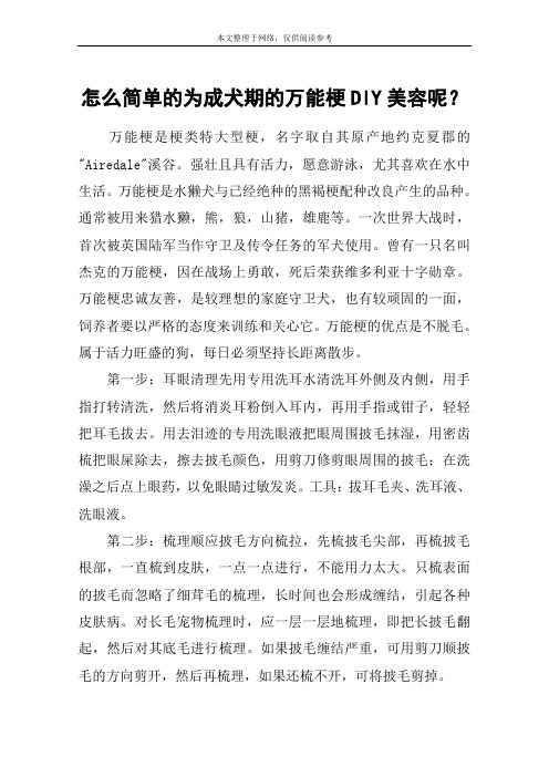 怎么简单的为成犬期的万能梗DIY美容呢？