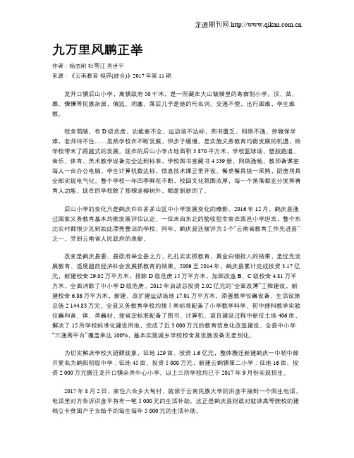 九万里风鹏正举