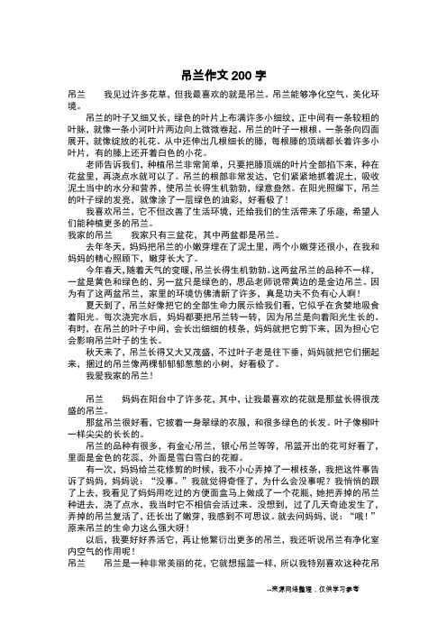 吊兰作文200字_作文200字