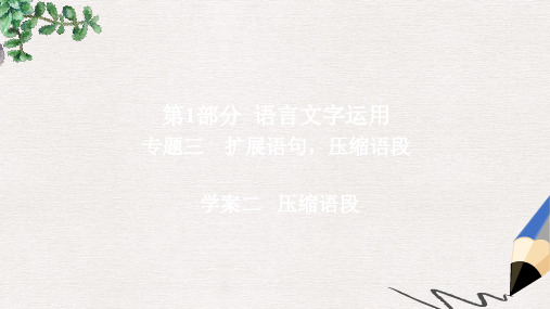 高考语文一轮总复习专题三扩展语句压缩语段2压缩语段课件