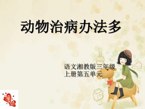 动物治病办法多