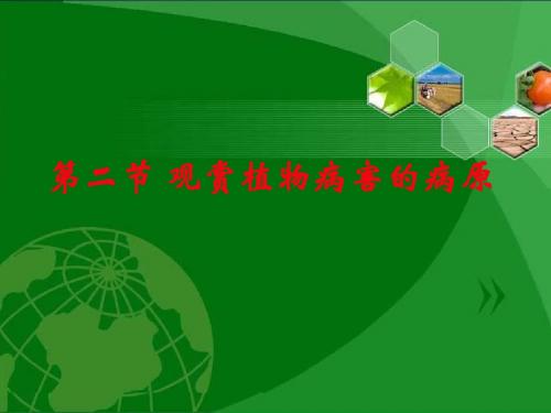 第二节 观赏植物病害的病原—线虫、非生物性病原