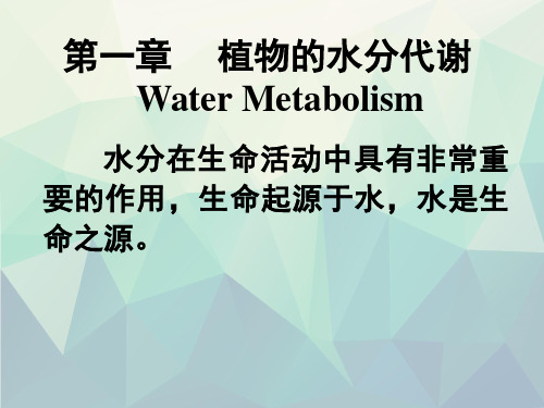 植物生理学第1章水分代谢