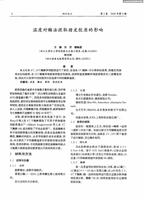 温度对酶法提取猪皮胶原的影响