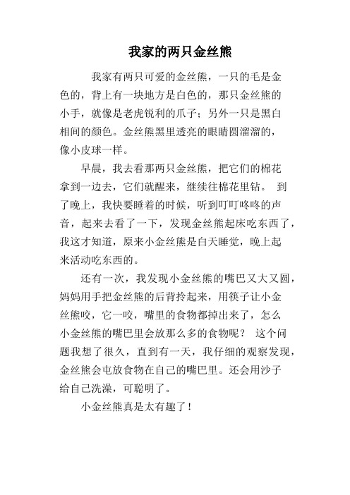 我家的两只金丝熊