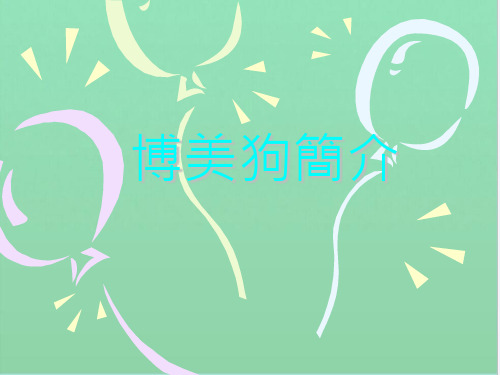 博美狗简介