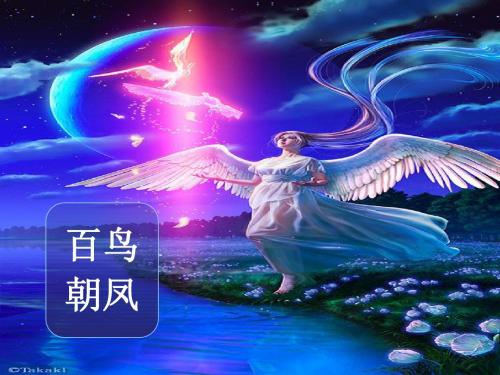 百鸟朝凤课件