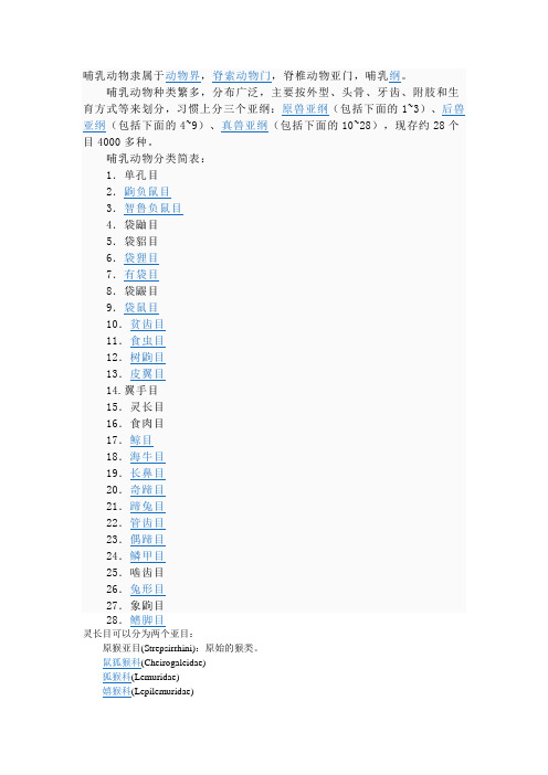 哺乳动物分类