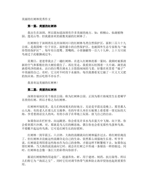 美丽的红树林优秀作文