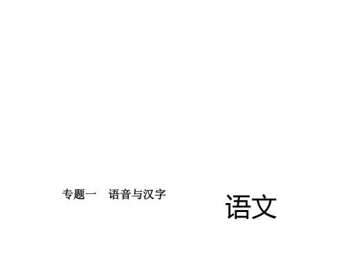 中考语文(四川版)课件 专题一 语音与汉字