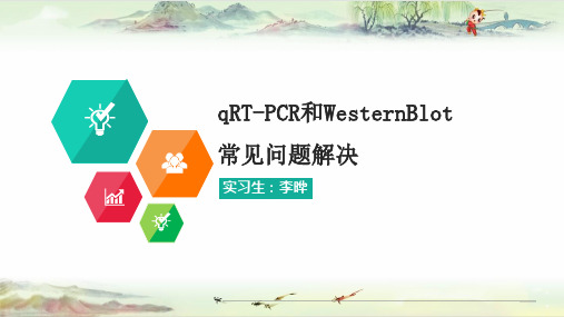 qRT-PCR和WesternBlot常见问题解决-李晔——【RT-PCR技术】