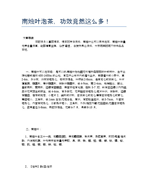 南烛叶泡茶,功效竟然这么多!【健康小知识】