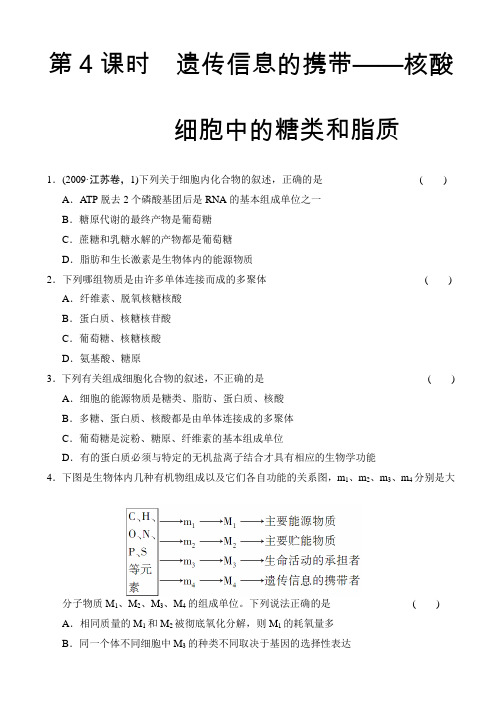 【苏教版】2012年高考生物第一轮复习课后练习必修1第一单元第4课时