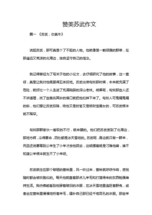 赞美苏武作文