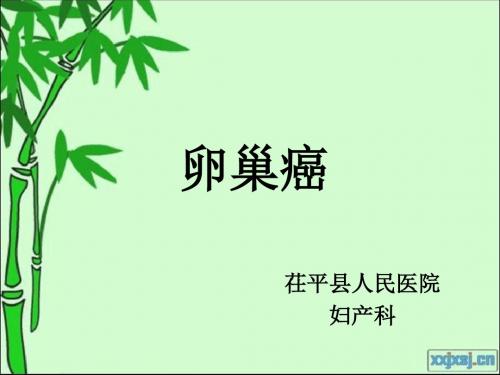 卵巢癌分析课件-PPT文档资料