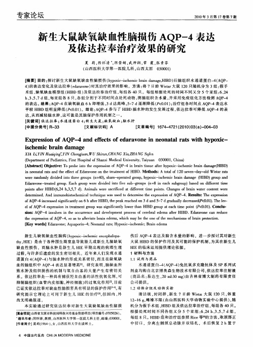 新生大鼠缺氧缺血性脑损伤AQP-4表达及依达拉奉治疗效果的研究