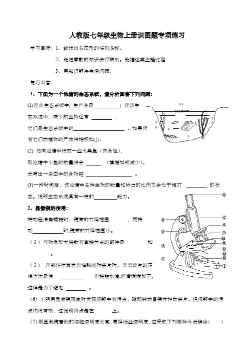 人教版七年级生物上册识图题专项练习