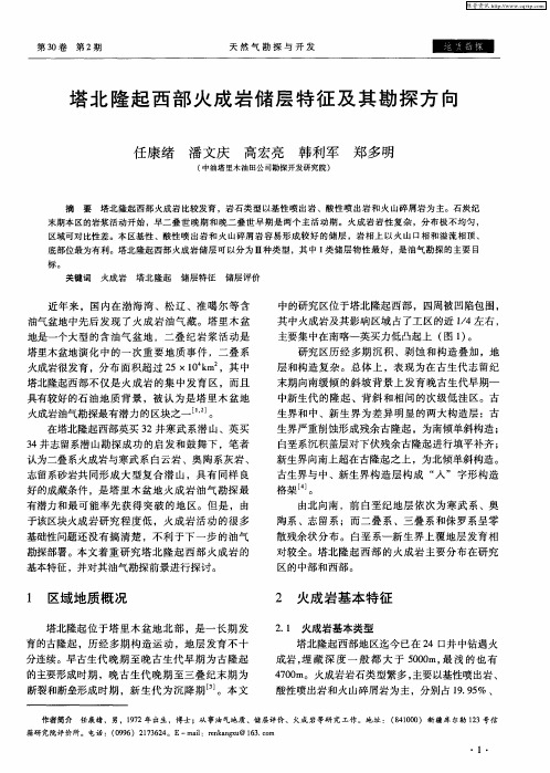 塔北隆起西部火成岩储层特征及其勘探方向