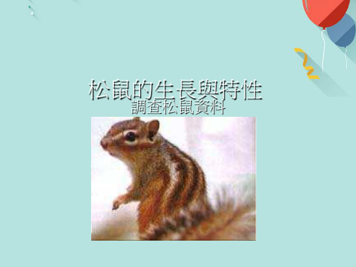 松鼠的生长与特性PPT资料优选版