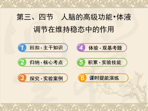 【全程复习方略】高中生物 3.1.3.3、4人脑的高级功能 体液配套课件 中图版必修3