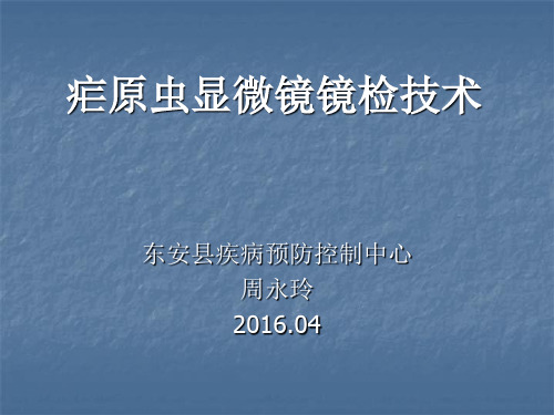疟原虫显微镜镜检技术