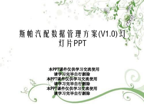 斯帕汽配数据管理方案(V1.0)幻灯片PPT