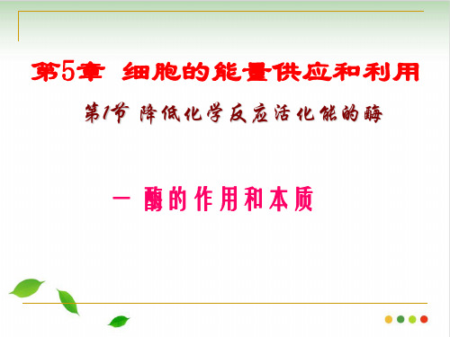 山东省菏泽第一中学 【人教版教材】 高中生物 必修1 第5章 第1节 酶的作用和本质
