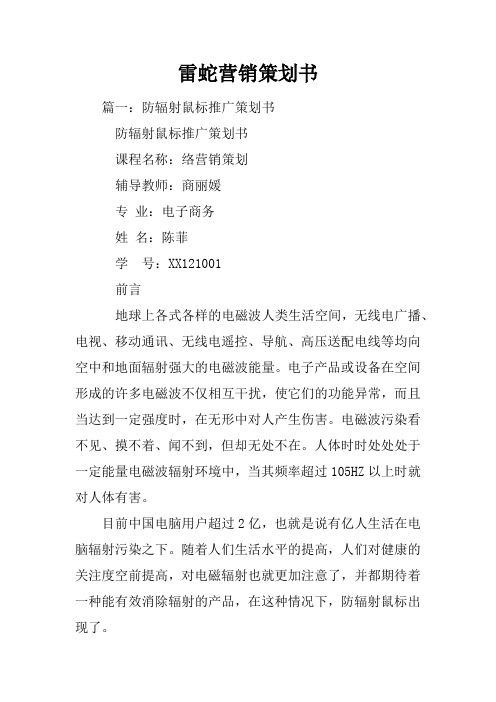 雷蛇营销策划书