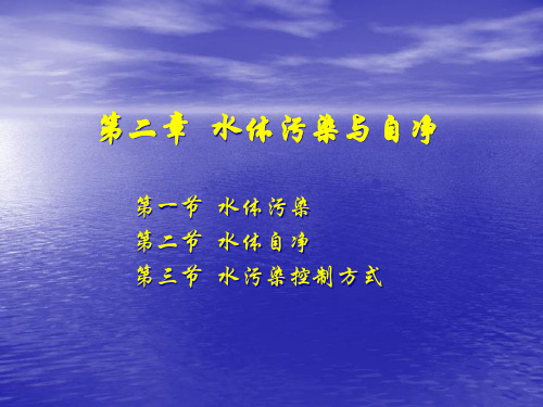 02水体污染与自净.pptx