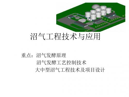 大型工程  沼气工程技术与应用讲诉