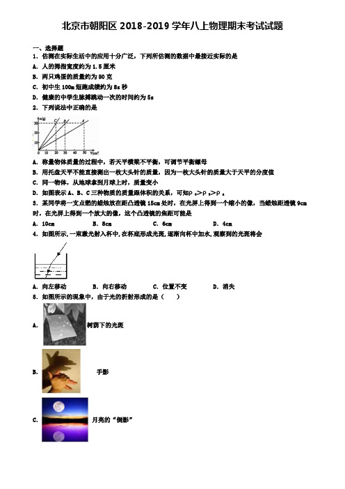 北京市朝阳区2018-2019学年八上物理期末考试试题