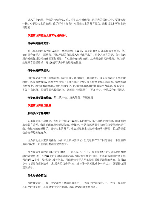 第16周怀孕要点提示