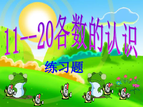 11-20各数的认识练习PPT课件