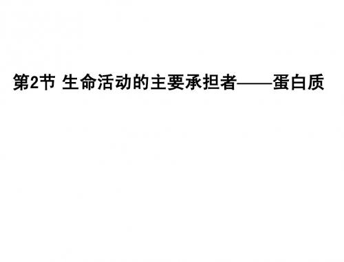 生物2013年高考复习课件：必修1_第2章_第2节_生命活动的主要承担者——蛋白质