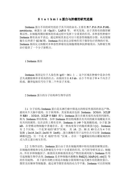 Stathmin蛋白与肿瘤的研究进展
