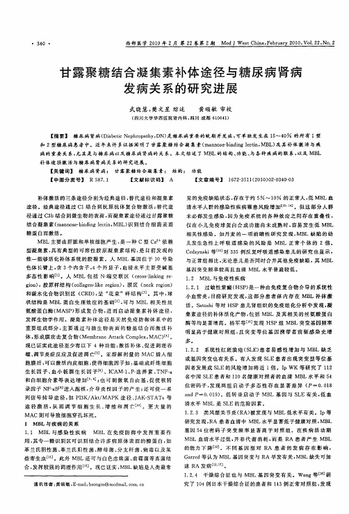 甘露聚糖结合凝集素补体途径与糖尿病肾病发病关系的研究进展
