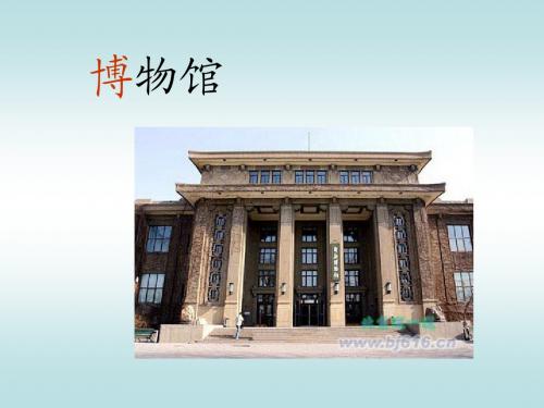 活化石