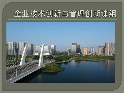 企业技术创新与管理创新课纲