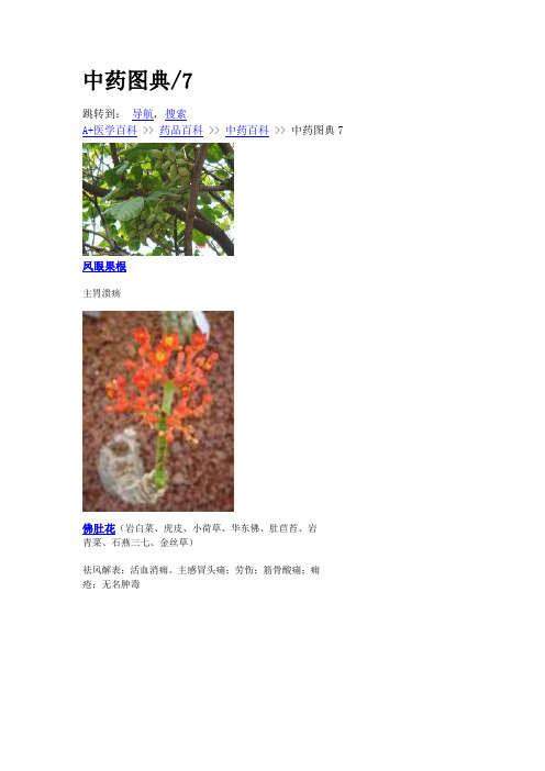 中药7