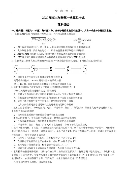 天一大联考2020届高三年级下学期第一次模拟考试理综试题 word含解析.pptx