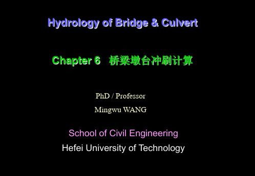 Chapter06-桥梁墩台冲刷计算