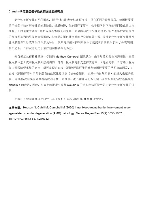 Claudin-5是延缓老年性黄斑变性的新靶点