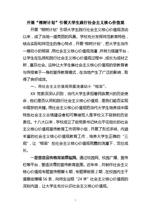 社会主义核心价值观教育典型案例