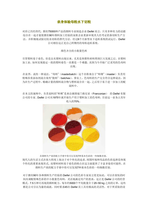 亲身体验母粒水下切粒