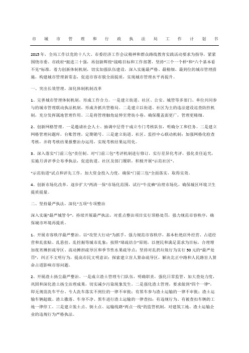 市城市管理和行政执法局工作计划书
